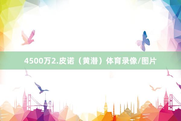 4500万2.皮诺（黄潜）体育录像/图片