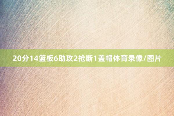 20分14篮板6助攻2抢断1盖帽体育录像/图片