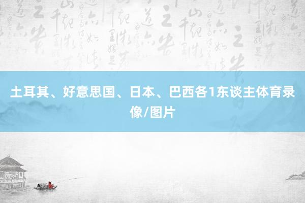 土耳其、好意思国、日本、巴西各1东谈主体育录像/图片
