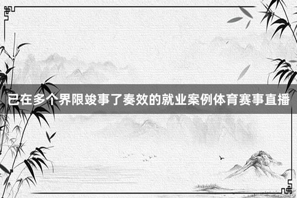 已在多个界限竣事了奏效的就业案例体育赛事直播