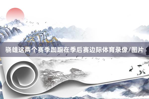 骁雄这两个赛季踟蹰在季后赛边际体育录像/图片