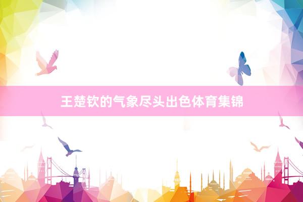 王楚钦的气象尽头出色体育集锦