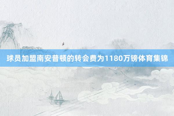 球员加盟南安普顿的转会费为1180万镑体育集锦