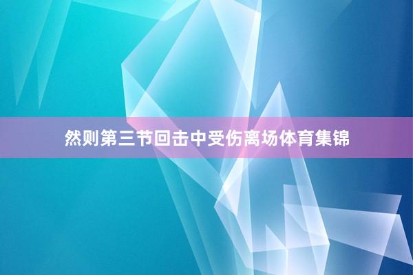然则第三节回击中受伤离场体育集锦