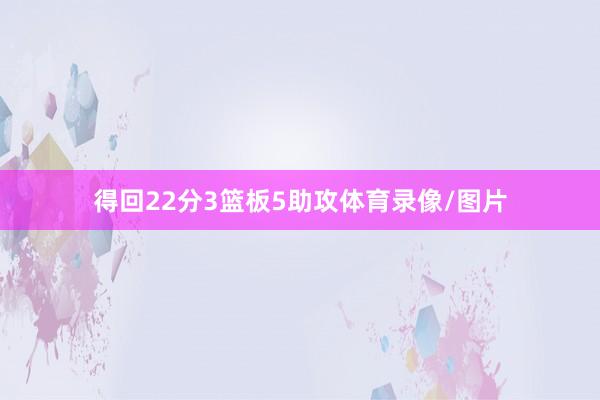 得回22分3篮板5助攻体育录像/图片