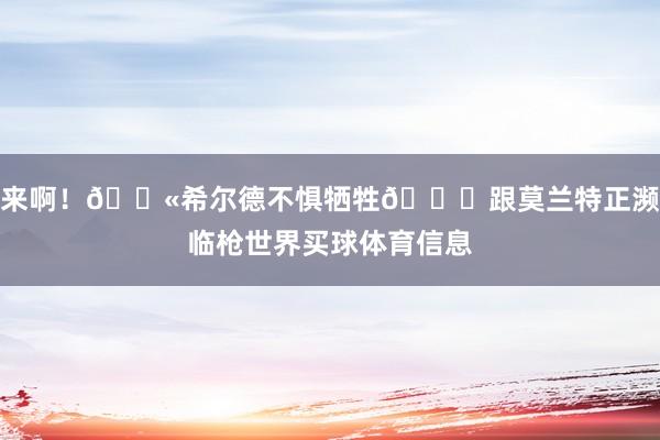 来啊!🔫希尔德不惧牺牲😂跟莫兰特正濒临枪世界买球体育信息