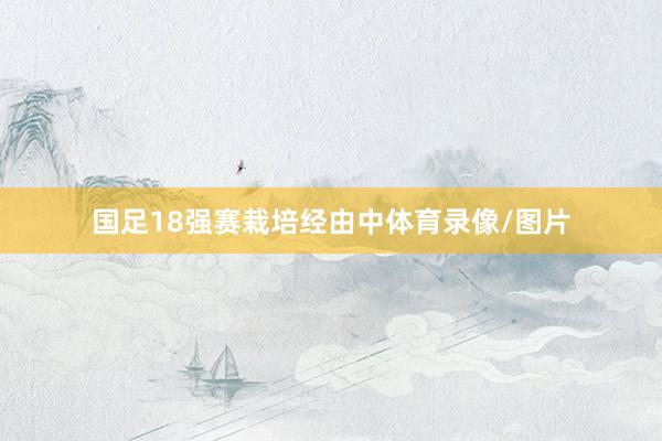 国足18强赛栽培经由中体育录像/图片