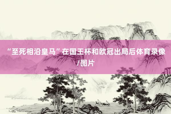 “至死相沿皇马”　　在国王杯和欧冠出局后体育录像/图片