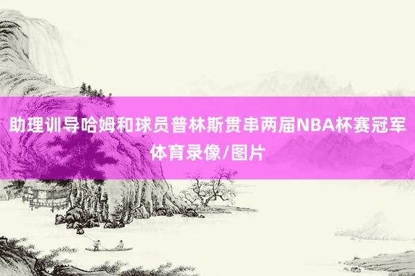 助理训导哈姆和球员普林斯贯串两届NBA杯赛冠军体育录像/图片