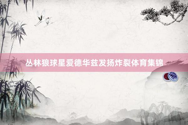 丛林狼球星爱德华兹发扬炸裂体育集锦