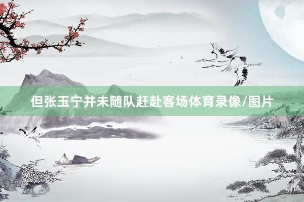 但张玉宁并未随队赶赴客场体育录像/图片