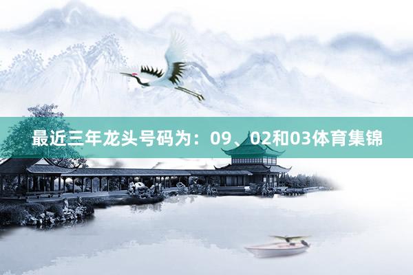最近三年龙头号码为：09、02和03体育集锦