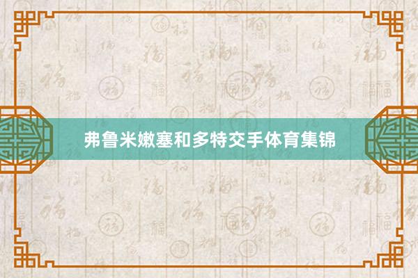 弗鲁米嫩塞和多特交手体育集锦