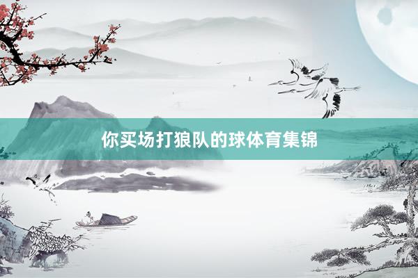 你买场打狼队的球体育集锦