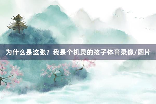 为什么是这张?我是个机灵的孩子体育录像/图片