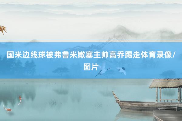 国米边线球被弗鲁米嫩塞主帅高乔踢走体育录像/图片