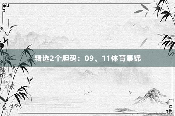 精选2个胆码:09、11体育集锦