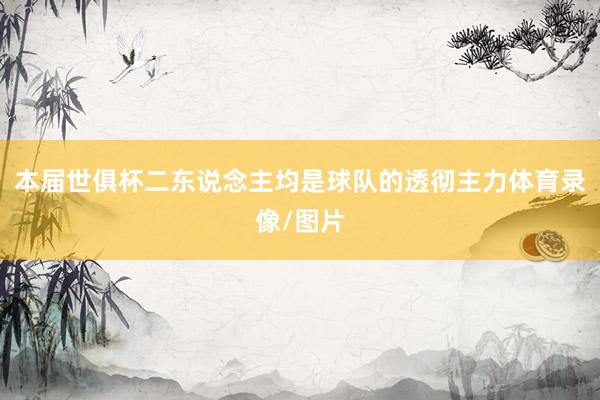 本届世俱杯二东说念主均是球队的透彻主力体育录像/图片