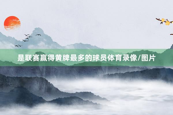 是联赛赢得黄牌最多的球员体育录像/图片