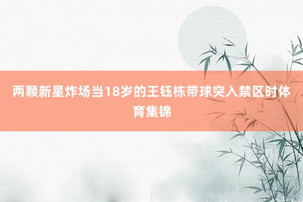 两颗新星炸场当18岁的王钰栋带球突入禁区时体育集锦