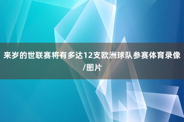 来岁的世联赛将有多达12支欧洲球队参赛体育录像/图片