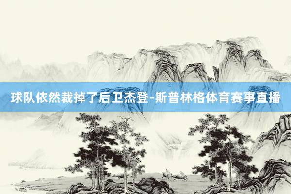 球队依然裁掉了后卫杰登-斯普林格体育赛事直播