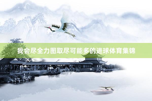 我会尽全力图取尽可能多的进球体育集锦