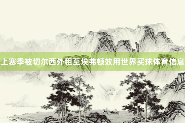 上赛季被切尔西外租至埃弗顿效用世界买球体育信息
