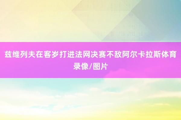 兹维列夫在客岁打进法网决赛不敌阿尔卡拉斯体育录像/图片