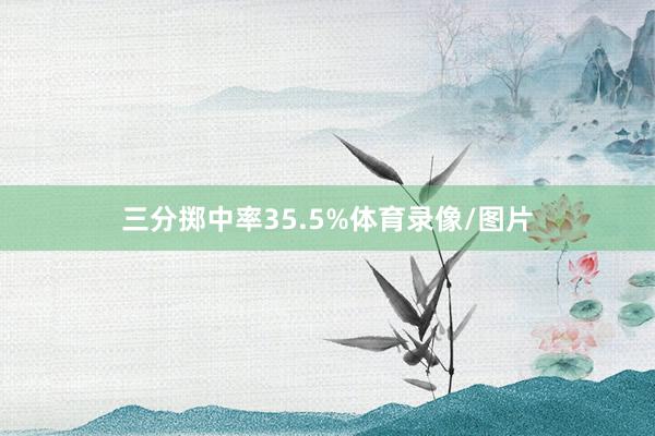 三分掷中率35.5%体育录像/图片