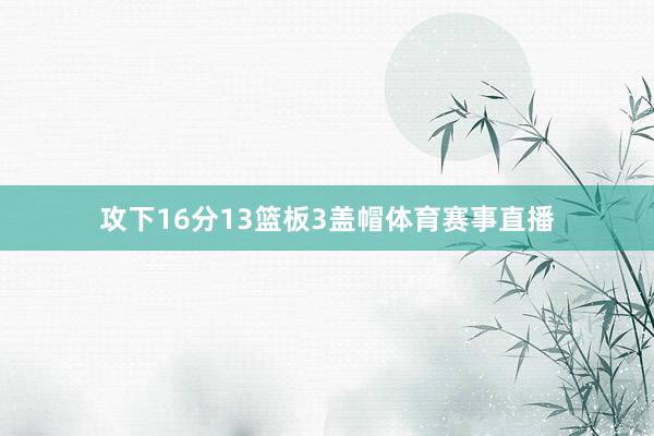 攻下16分13篮板3盖帽体育赛事直播