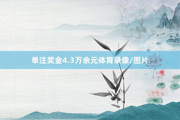 单注奖金4.3万余元体育录像/图片