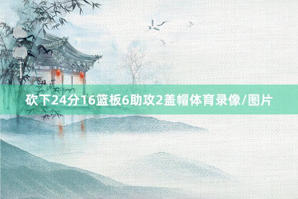 砍下24分16篮板6助攻2盖帽体育录像/图片