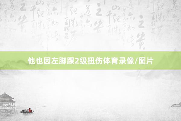 他也因左脚踝2级扭伤体育录像/图片
