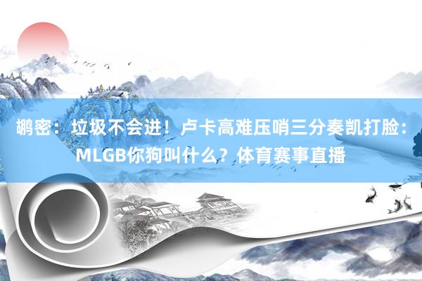 鹕密：垃圾不会进！卢卡高难压哨三分奏凯打脸：MLGB你狗叫什么？体育赛事直播