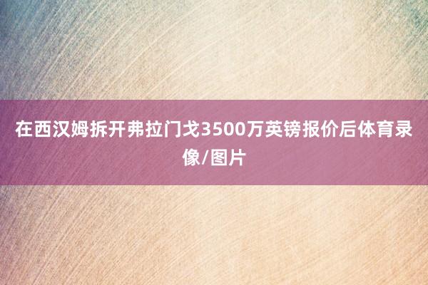 在西汉姆拆开弗拉门戈3500万英镑报价后体育录像/图片