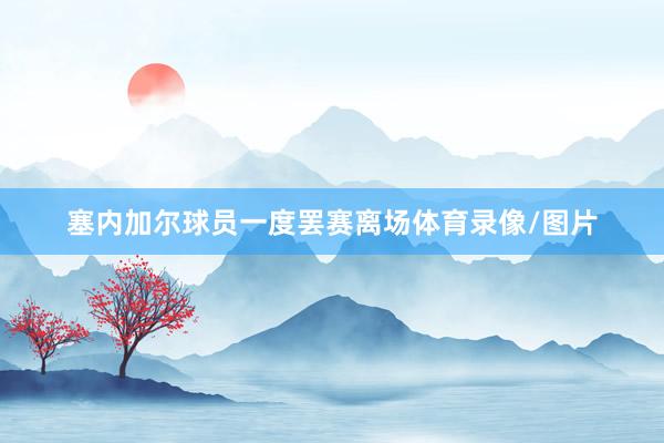 塞内加尔球员一度罢赛离场体育录像/图片