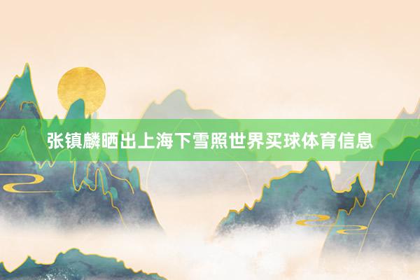 张镇麟晒出上海下雪照世界买球体育信息