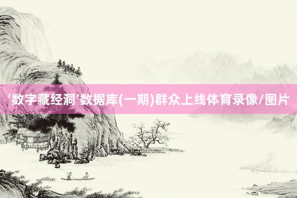 ‘数字藏经洞’数据库(一期)群众上线体育录像/图片