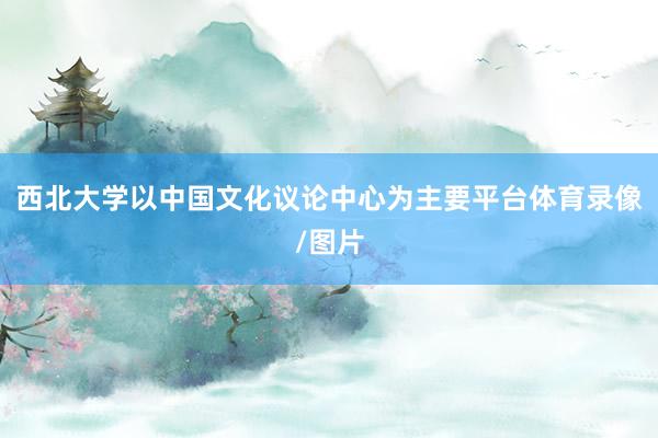 西北大学以中国文化议论中心为主要平台体育录像/图片