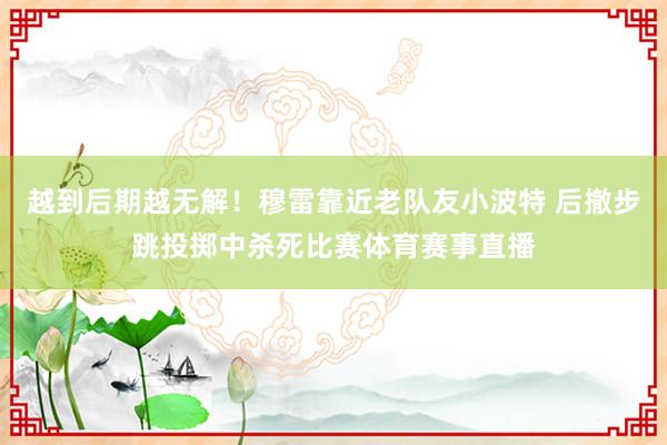 越到后期越无解！穆雷靠近老队友小波特 后撤步跳投掷中杀死比赛体育赛事直播