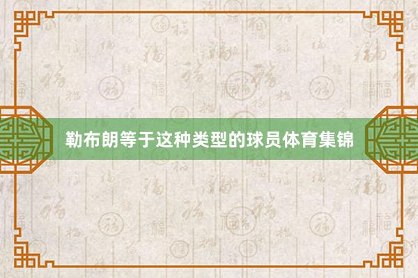 勒布朗等于这种类型的球员体育集锦