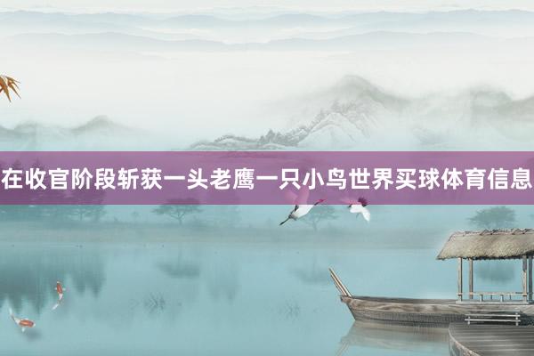 在收官阶段斩获一头老鹰一只小鸟世界买球体育信息