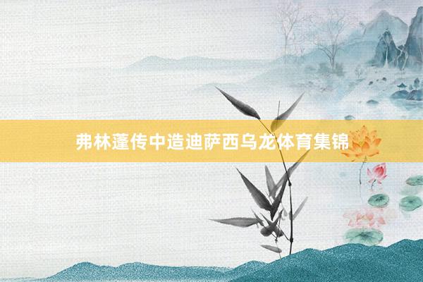 弗林蓬传中造迪萨西乌龙体育集锦