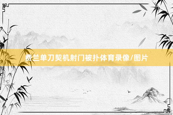 费兰单刀契机射门被扑体育录像/图片