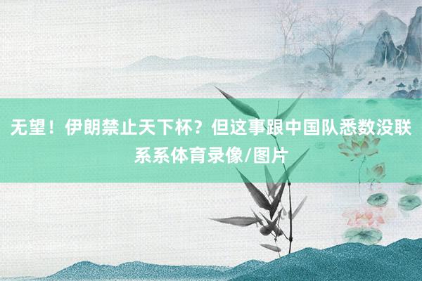 无望！伊朗禁止天下杯？但这事跟中国队悉数没联系系体育录像/图片