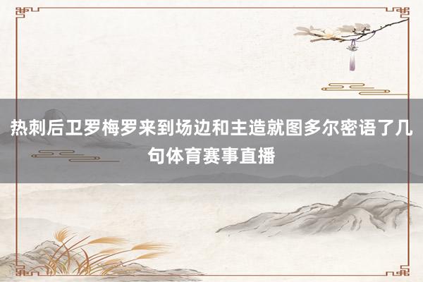 热刺后卫罗梅罗来到场边和主造就图多尔密语了几句体育赛事直播