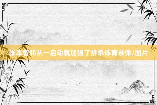 张本智和从一启动就加强了拼杀体育录像/图片