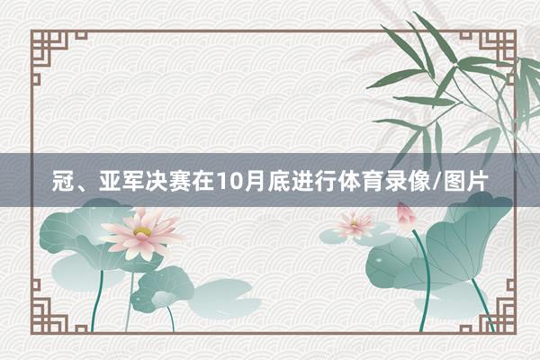 冠、亚军决赛在10月底进行体育录像/图片