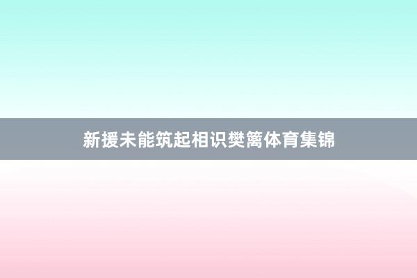新援未能筑起相识樊篱体育集锦